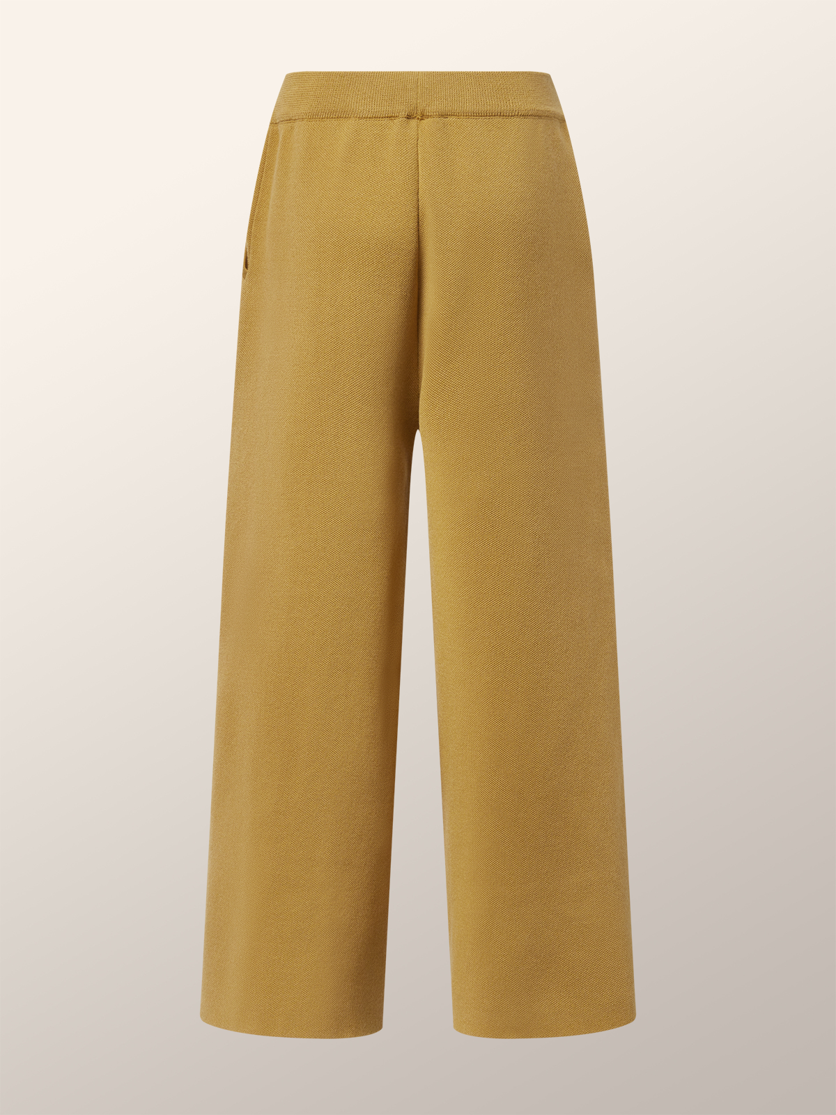 Pantalons Femmes Plain Printemps / Automne Urbain Polyester Naturel Poids lourd Quotidien Pantalon à la cheville Droit